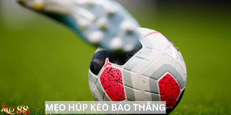 Mẹo húp kèo bao thắng, những sai lầm nên tránh