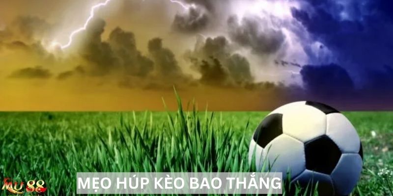 Cao thủ xanh chín chia sẻ Mẹo húp kèo bao thắng